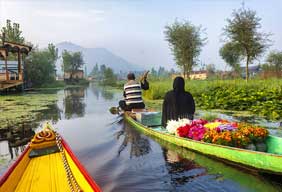 srinagar delhi